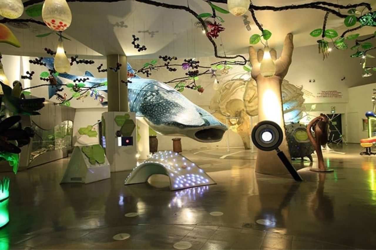 things to do in manila during rainy season - mind museum