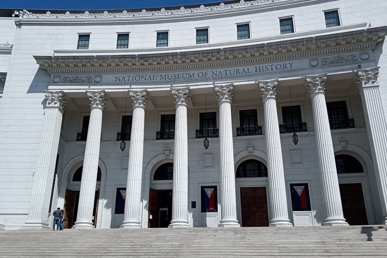 things to do in manila during rainy season - national museum of natural history