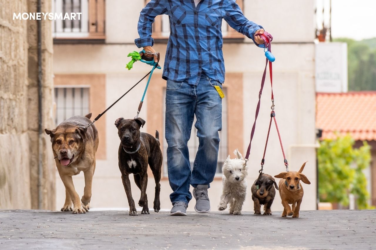 great business ideas and side hustles in the philippines - pet care services